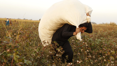 A man carries a sack of cotton after harvesting it on a field in the countryside of Raqqa, eastern Syria October 30, 2013.
