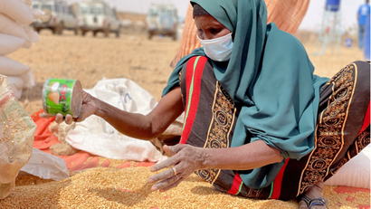 A woman collects grain at a camp for IDPs in the Somali region, Ethiopia.