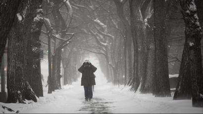 A man walks up 5th Avenue at Central Park as it snows in New York, January 3, 2014. A major snowstorm producing blizzard-like conditions hammered the northeastern United States on Friday, causing more than 1,000 U.S. flight delays and cancellations, paralyzing road travel, and closing schools and government offices. REUTERS/Carlo Allegri