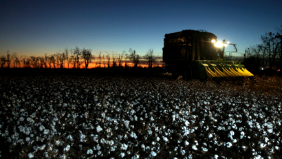 Rick Faulkner and his wife Cindy pick cotton on their land Wednesday, Nov. 11, 2009, in New Madrid, Mo. The Faulkner's land sits at the bottom of Missouri's boot heel, an area that connects this Midwestern state to the Mississippi Delta and where the federal government pumps more than $12 million a year in cotton subsidies.