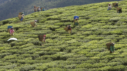 Sikkim-India-Organic state-Narendra Modi-Organic Farming-Farming