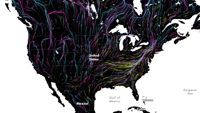 A screenshot of an animated map showing projected migration paths.