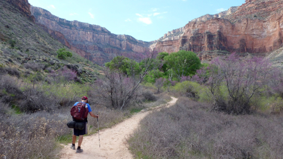 A hiker makes his way back up the Grand Canyon along the Bright Angel Trail on March 17, 2015. Many hikers choose to hike back up the canyon along the Bright Angel trail in Grand Canyon National Park because it has water stops along the way.