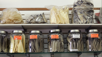 Glass containers filled with shark fins are displayed at a store in Chinatown on August 24, 2011 in San Francisco, California. California State Assembly Bill 376 has been introduced and would ban the sale, purchase or possession of shark fins in California starting on Jan. 1, 2013. Those against the bill complain that it targets a cultural institution of Chinese citizens who eat shark fin soup. (Photo by Justin Sullivan/Getty Images