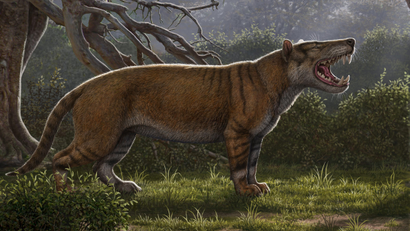 Simbakubwa kutokaafrika, a gigantic mammalian carnivore that lived 22 million years ago in Africa and was larger than a polar bear, is seen in this artist's illustration released in Athens, Ohio, U.S., on April 18, 2019.