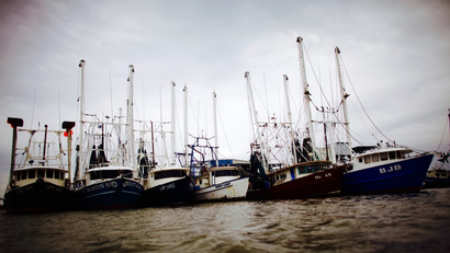 Docked shrimp boats in Venice, Louisiana