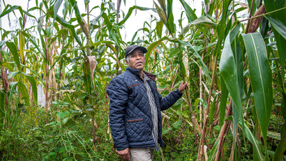 A campesino with rare varieties of maize