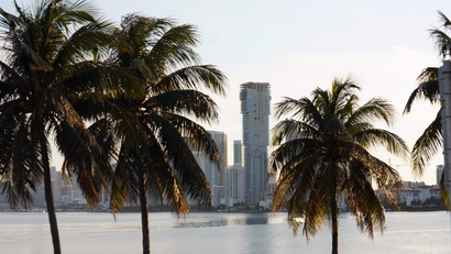 Two palm trees frame a skyscraper towering over Biscayne Bay in Miami.