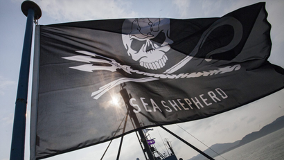 sea shephers-launches-latest-campaign-against-Japanese-whaling