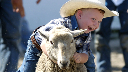 A kid riding a sheep.