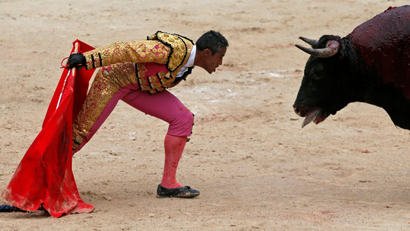 French bullfighter Mehdi Savalli taunts a bull