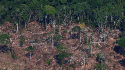 A deforested and burnt plot is seen in Jamanxim National Forest in the Brazilian Amazon