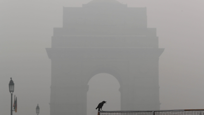 A crow sits on a barricade in front of India Gate amidst smog in New Delhi