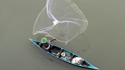 India-Fish-Pollution