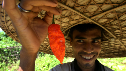India-Chilli-Pepper