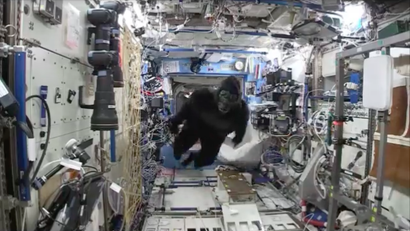 NASA Scott Kelly gorilla costume