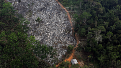An aerial view of a deforested plot of the Amazon at the Bom Futuro National Forest in Porto Velho, Rondonia State, Brazil, September 3, 2015.