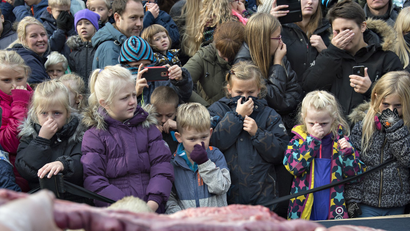 Schoolchildren hold their noses as a lion is dissected