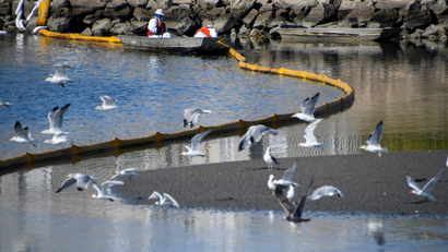 A clean-up team works on clearing the oil slicks at the Talbert Channel after a major oil spill off the coast of California has come ashore in Huntington Beach, California, U.S.
