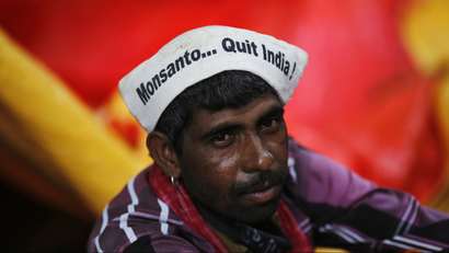 Monsanto-Bt Cotton-India-Agriculture-Narendra Modi
