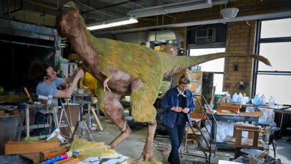 A T.rex model getting set up at AMNH.