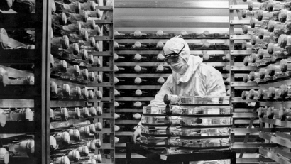 A historical photo of an old CDC virus research lab.