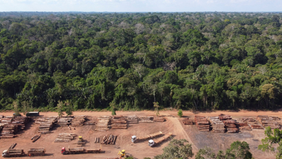 Piles of logs sit on a flattened deforested landscape next to the Amazon rainforest.