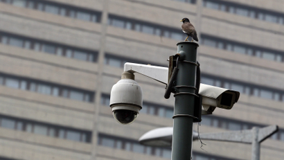 A bird sits atop a closed-circuit television (CCTV) camera pole at a traffic intersection in New Delhi