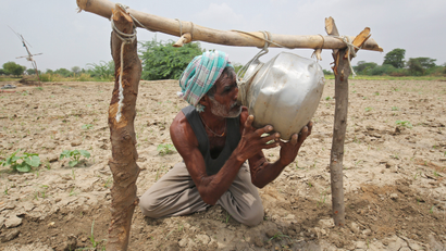 A farmer drinks water as he works in a paddy field on the outskirts of Ahmedabad