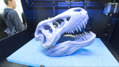 A 3-D printed dinosaur skull