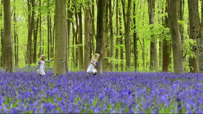 Local youngsters Bella and Daisy run through a forest covered in bluebells near Marlborough in southern...
