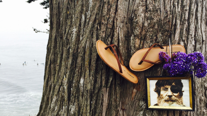 O'Neill image on tree at Pleasure Point.