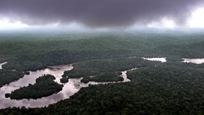Gabon is set to become the first country in Africa to receive payments for preserved rainforests