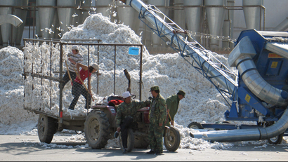Chinese workers prepare recently picked cotton at a processing plant in Shihezi, Xinjiang