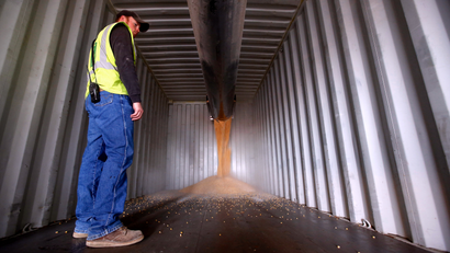 A worker looks on as a shipping container is loaded with corn at DeLong Company in Minooka, Illinois, September 24, 2014.. Corn prices, trying to consolidate after falling to a four-year low as a record-large U.S. harvest pick up speed and as continued reports of spectacular early U.S. yields and softening cash markets hang over the market. Contracts held above lifetime lows in overnight trade. Photo taken September 24, 2014.
