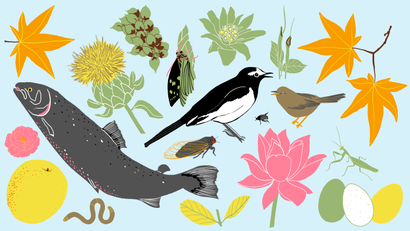 An illustration of animals, plants, and flowers significant to the microseasons mentioned in the piece.