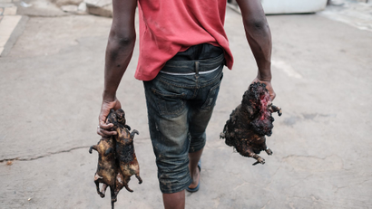 A man carries cooked bushmeat in Ghana.
