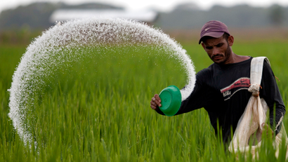 A Venezuelan farmer fertilizes a rice plantation.