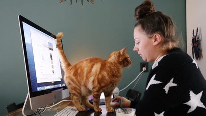 woman works from home while a cat looks at her on the computer keyboard
