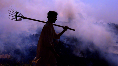 AN INDIAN FARMER WALKS THROUGH HIS PADDY FIELD IN CHANDIGARH.
