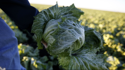 Romaine lettuce is likely behind nearly 60 illnesses so far.