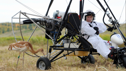 Russian President Vladimir Putin looks at a crane as he sits in a motorised deltaplane at Yamalo-Nenets district September 5, 2012.