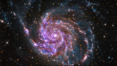 The spiral galaxy M101 is pictured in this handout photo from NASA's Chandra X-Ray Observatory.