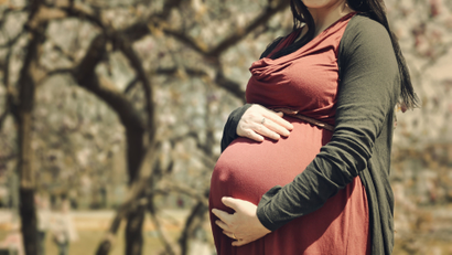 Pregnant mother child academia tenure