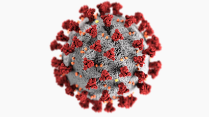 Novel coronavirus SARS-CoV-2, which causes Covid-19