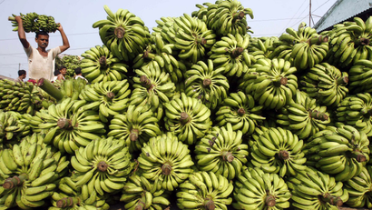 Labourer carries bananas at wholesale fruit market in Siliguri
