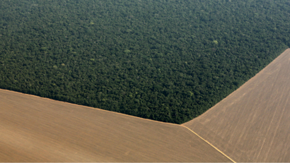 An aerial view shows the Amazon rainforest (top) bordered by land cleared to prepare for the planting of soybeans in western Brazil.