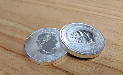 Two silver coins, with a polar bear and a cub on one side.