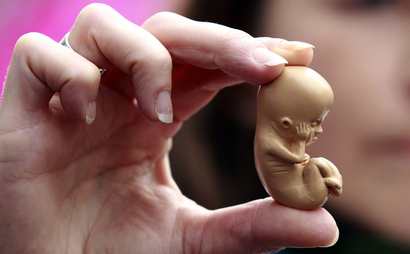 A pro-life campaigner holds up a model of a 12-week-old embryo during a protest outside the Marie Stopes clinic in Belfast October 18, 2012.