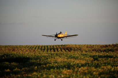 A crop duster plane sprays a field of soybeans 